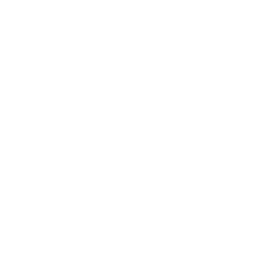 Car Protected Icon